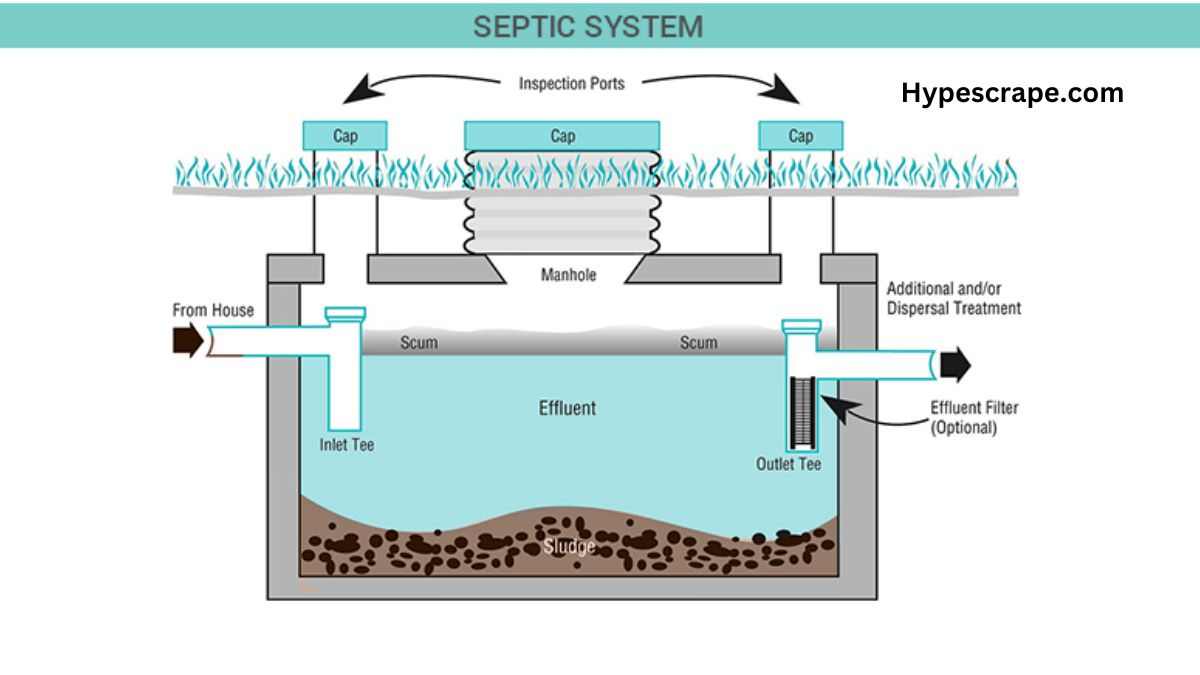 septic system management