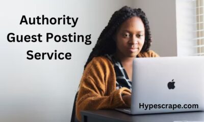 Authority Guest Posting Service