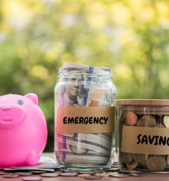 Emergency Savings