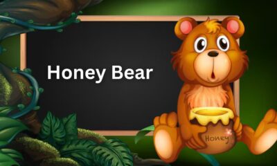 Honey Bear