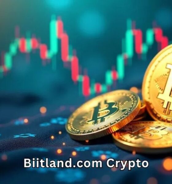 Biitland.com Crypto